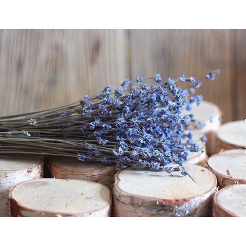 Bó hoa Lavender khô 50 cành thơm lâu