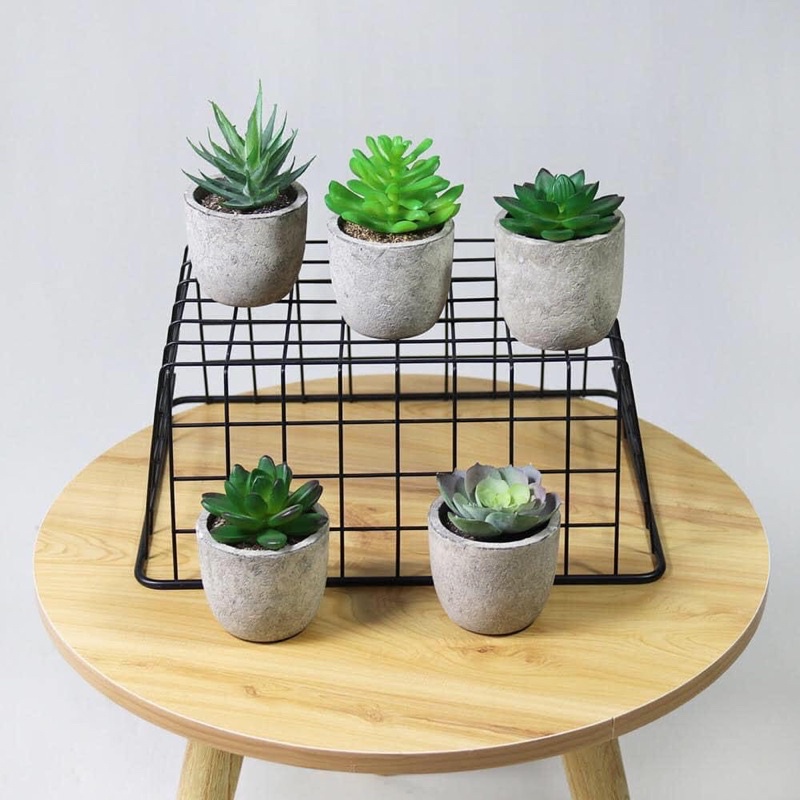 Hoa giả Mini cực kì sang trọng đẹp hơn hoa thật