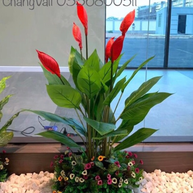 Cây Lan Ý giả 95cm trang trí(nhiều màu)
