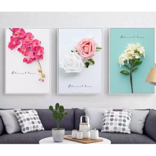 Tranh canvas hoa bộ 3 bức 40x60