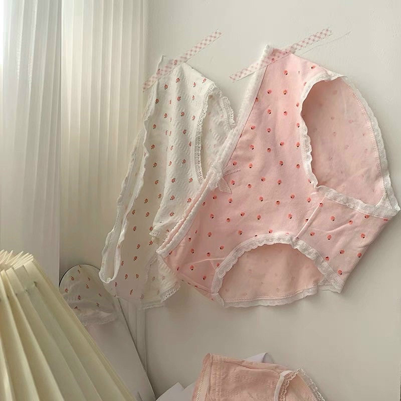 Combo 5 Quần Lót Cotton Hàng Loại 1 Mềm Mại Thoáng Mát Kháng Khuẩn