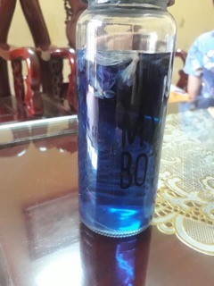 Hoa đậu biếc HandMade