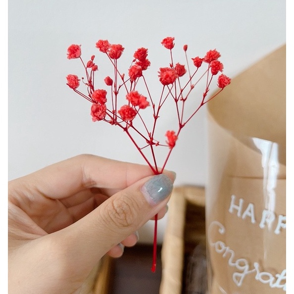 Nhánh hoa baby khô, hoa trang trí thiệp, bánh kem, qùa tặng