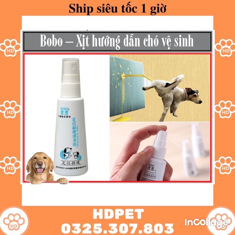 Xịt hướng dẫn chó đi vệ sinh đúng chỗ Bobo 60ml