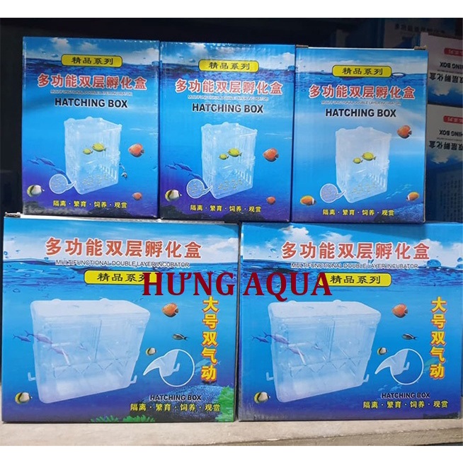 Lồng đẻ cho cá cảnh, lồng dưỡng cá, cách lý cá loại đơn và đôi
