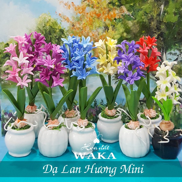 Hoa Đất Sét Mini-Dạ Lan Hương-Tiên Ông