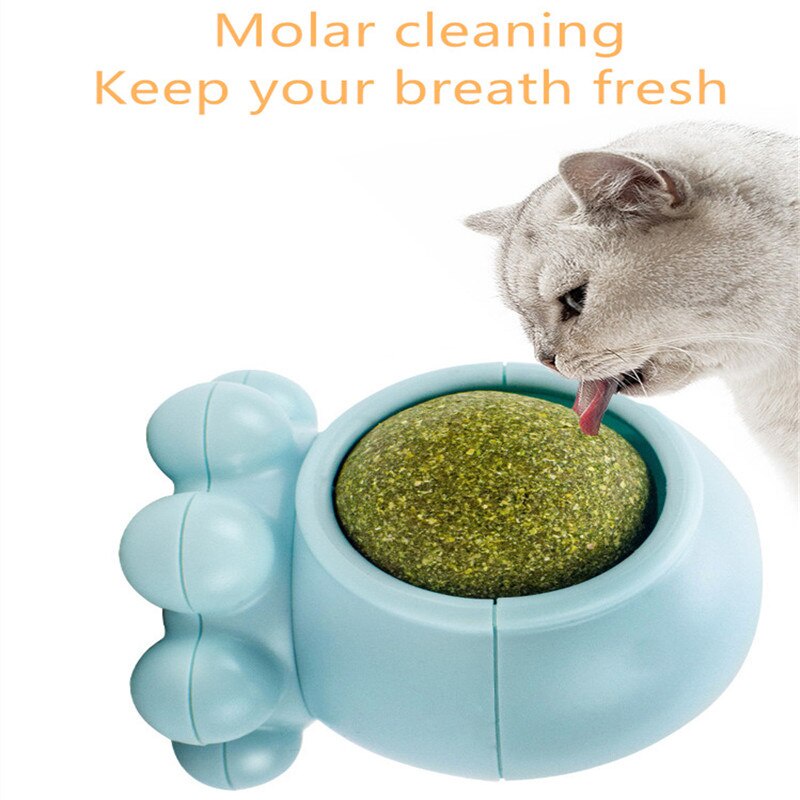 Đồ Chơi Bóng Xoay Bằng Gỗ Đa Giác Làm Sạch Răng Cho Thú Cưng 27 Món