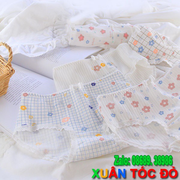[Mã WASTDEP giảm 5K đơn bất kì] SỈ ZALO RẺ HƠN NHIỀU_ Quần Lót 5 Kiểu Hoa Anh Đào Cực Đẹp 5105 | BigBuy360 - bigbuy360.vn