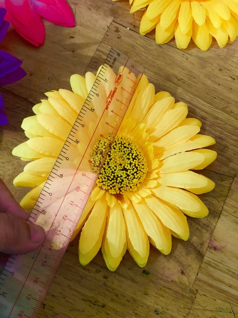 Hoa múa sân trường