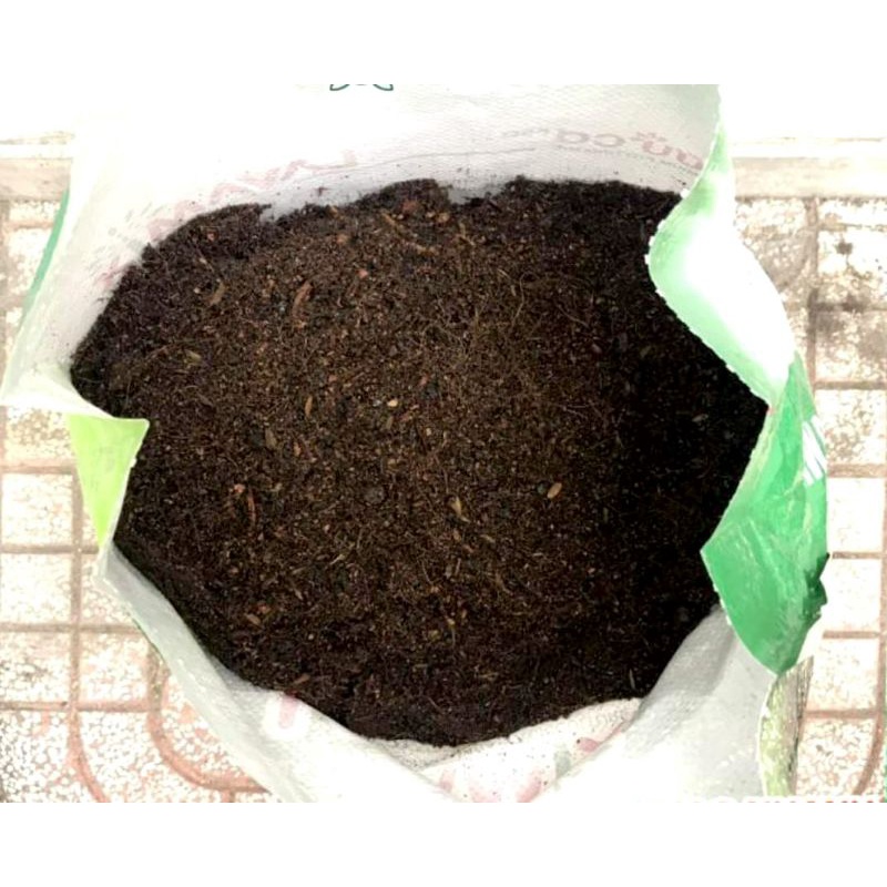 Đất Trồng Mai TRIBAT 10Kg 20dm Đã Trộn Phân