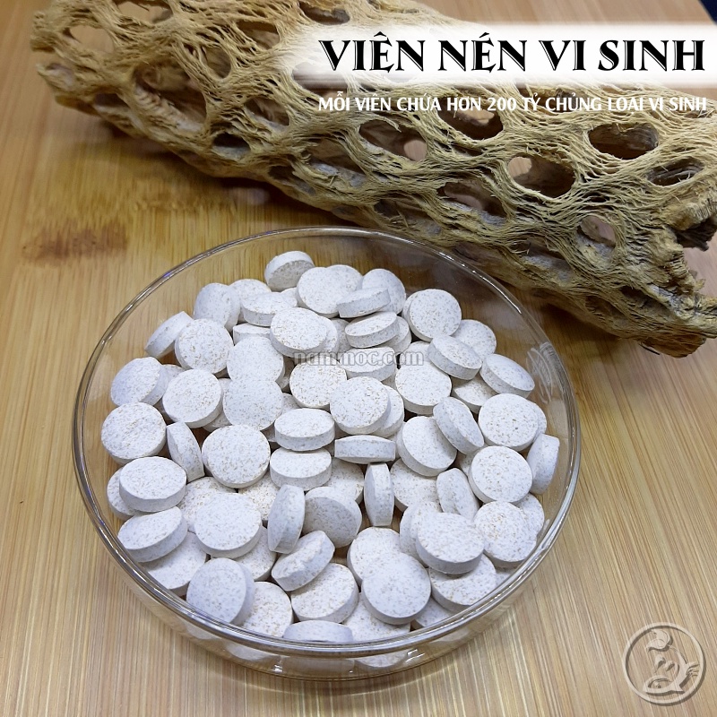 Men Vi Sinh Dạng Viên | Vi Sinh Đậm Đặc Thế Hệ Mới Giúp Phân Huỷ Chất Thải - Làm Trong Nước Hồ Cá Thuỷ Sinh