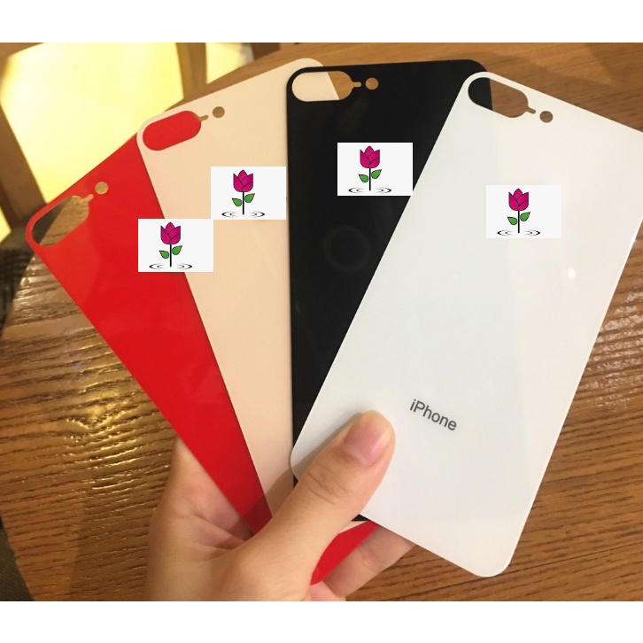 cường lực mặt sau lên IP6g- XS MAX đẹp lung linh
