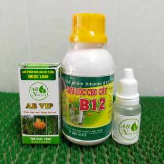 Combo dưỡng chất AB Ngọc Linh VIP & vitamin B12-giải độc cây