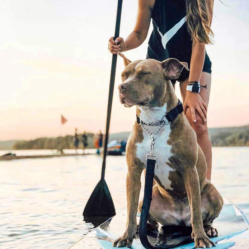 Cánh khuấy có thể điều chỉnh đứng lên với thiết kế khóa độc đáo Cánh khuấy bằng hợp kim nổi