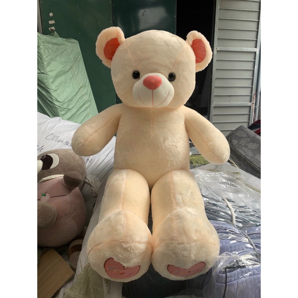Gấu Bông Teddy Cao Cấp Angel hồng, Be 80cm - 1m1 - 1m3 - 1m6. Quà tặng Đẹp và ý nghĩa.