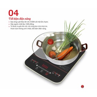 Bếp từ đơn Sato STB-202