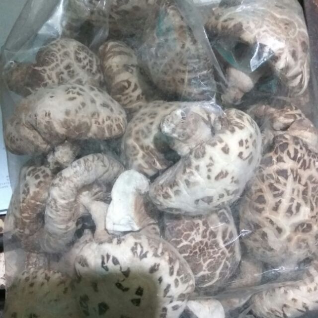 Nấm đông cô khô 100g