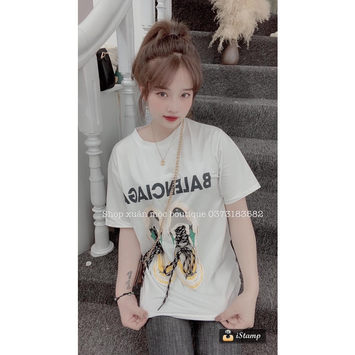 Áo phông giày Balen và Guci,FREESHIP,chất cotton 100%