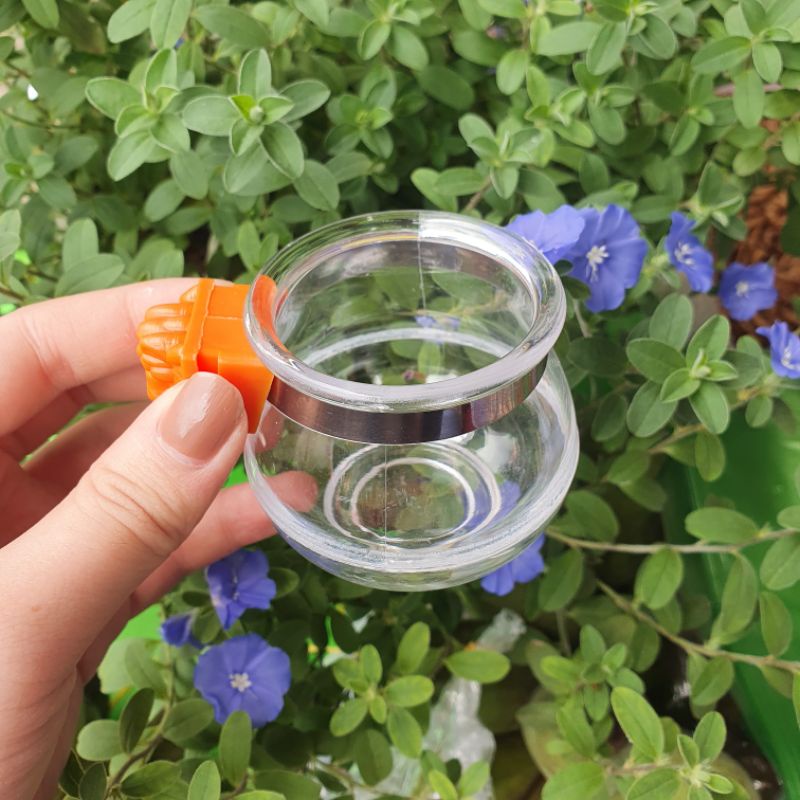 Cóng nhựa quai cam đựng thức ăn, nước uống chim cảnh dành cho mọi loại chim