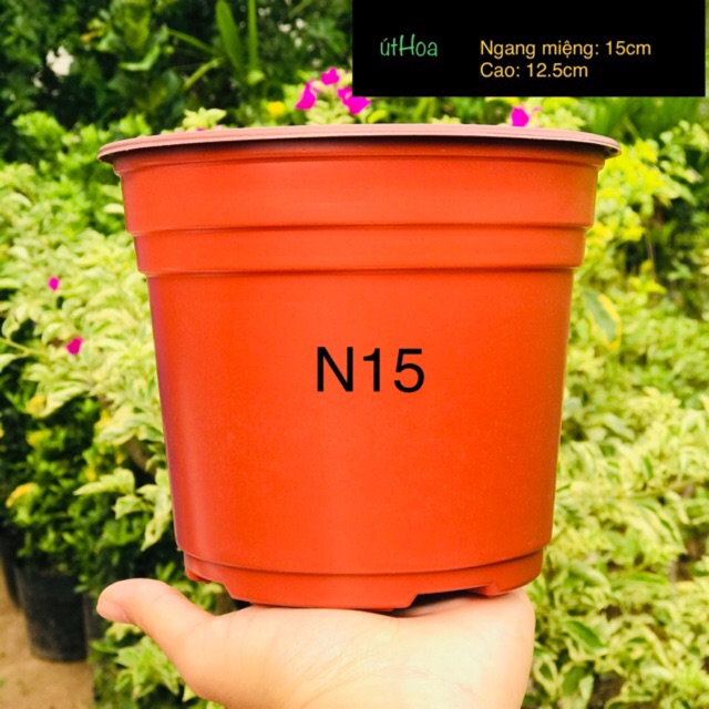 [ Sll giá rẻ Chậu nhựa nâu N15 (15x12cm) vành miệng cứng