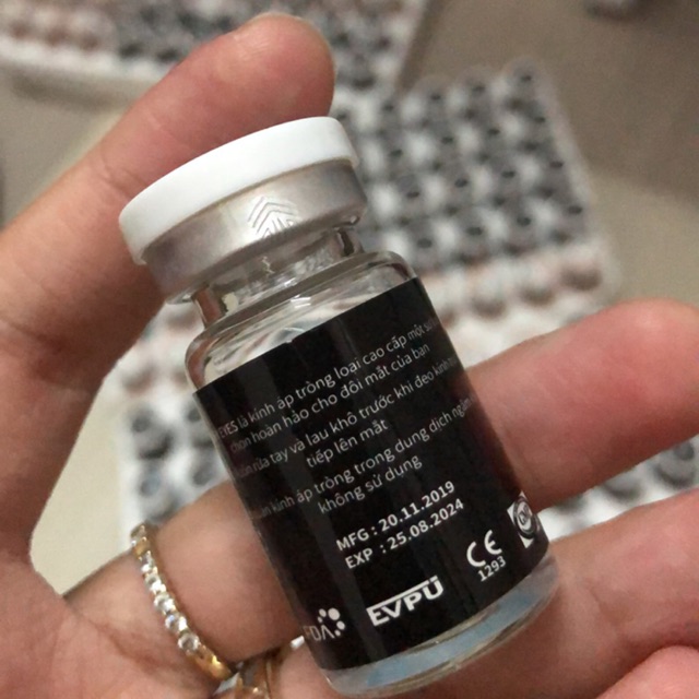 3 lens 1 khay gấu