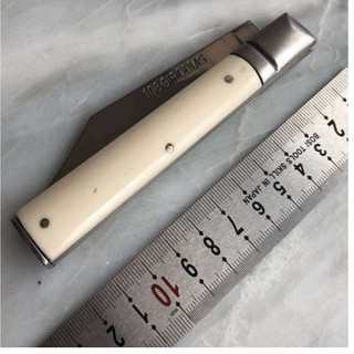 Dao trái cây thép 440A, 440C Đức, Ý, Anh, Nhật