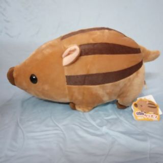 Cặp lợn amuse chính hãng