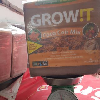 Mụn dừa/ Mụn dừa ép cục/ Mụn dừa đã xử lý