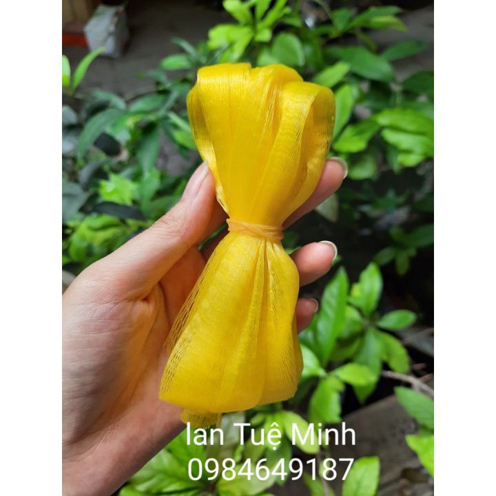 1m Lưới che chắn bảo vệ cây chống côn trùng, ruồi vàng gây hại phong lan