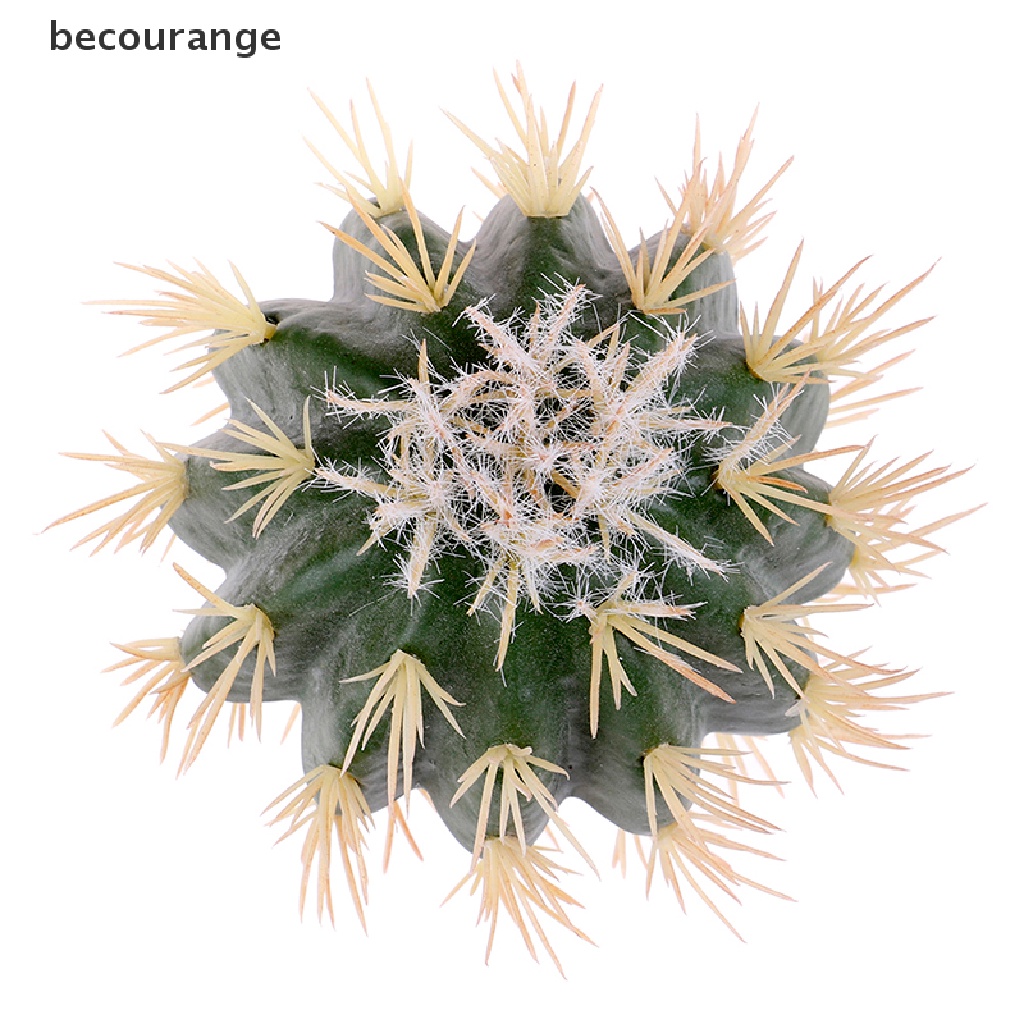 1 Ăng Ten Hình Cây Xương Rồng Trang Trí Xe Hơi