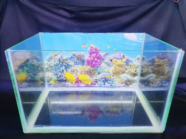 BỂ CÁ 29X18X18CM KÍNH DÀY 5 LY KHÔNG KIỀNG DÁN TRANH SẴN