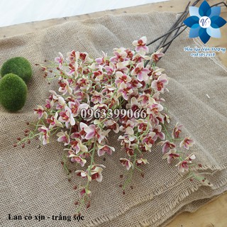 Hoa Lụa Để Bàn 🌺FREESHIP🌺 Hoa Lan Cò Cao Su