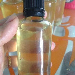 Dầu tràm nguyên chất sỉ