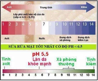 Sữa rửa mặt viskin