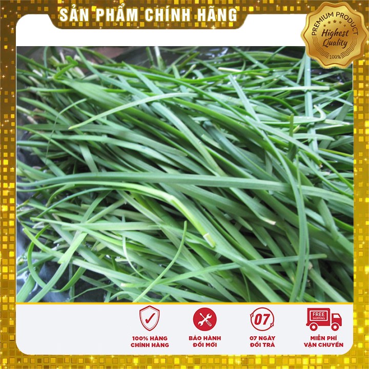 Hạt giống hẹ ta rau gia vị - 10gr