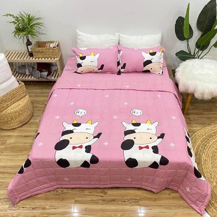 Chăn (mền) poly cotton chần bông 2 mặt Mẫu Mới