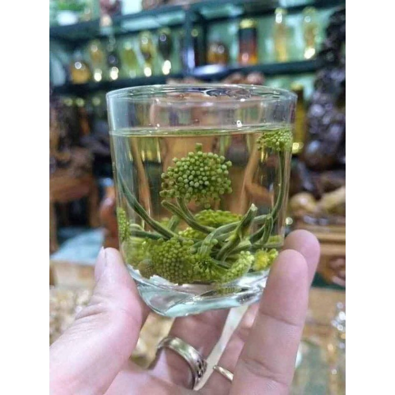 NỤ HOA TAM THẤT sạch