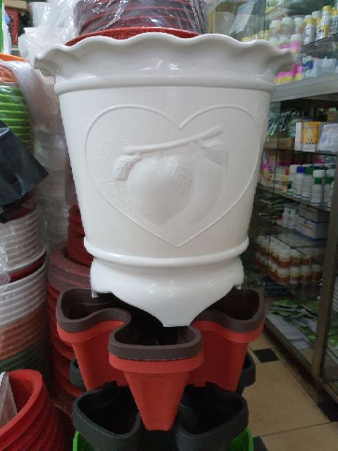 Chậu trái đào đk 40cm