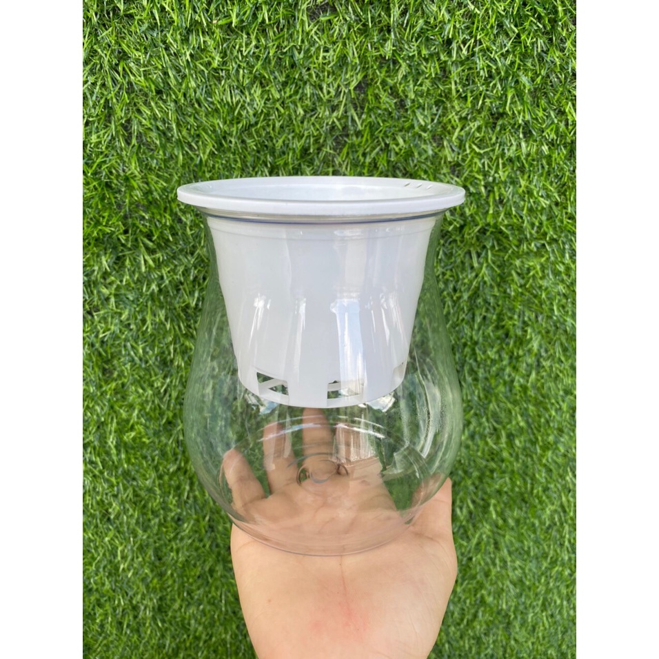 ComBo 2 Chậu Nhựa Trồng Cây Thủy Sinh, Kích Thước 10x10x13Cm