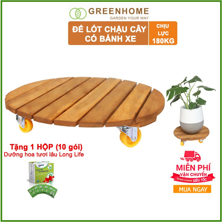 [FREESHIP 70K] Đế lót chậu cây có bánh xe chịu lưc 180kg bằng Gỗ Tròn màu Nâu R40xC9cm 🎁Tặng 1 hộp dưỡng hoa tươi lâu🎁