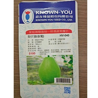 Hạt giống bầu đài loan broom tỷ lệ nảy mầm 95% nhập khẩu 100%