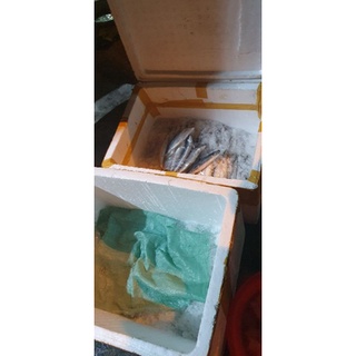 Mực ống lớn 4,5 con 1kg