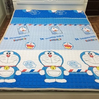 Bộ ga chun + 2 vỏ gối