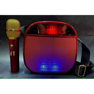 Loa karaoke mini YS-A25