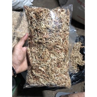 [100g] 1 túi dớn chile nhập khẩu
