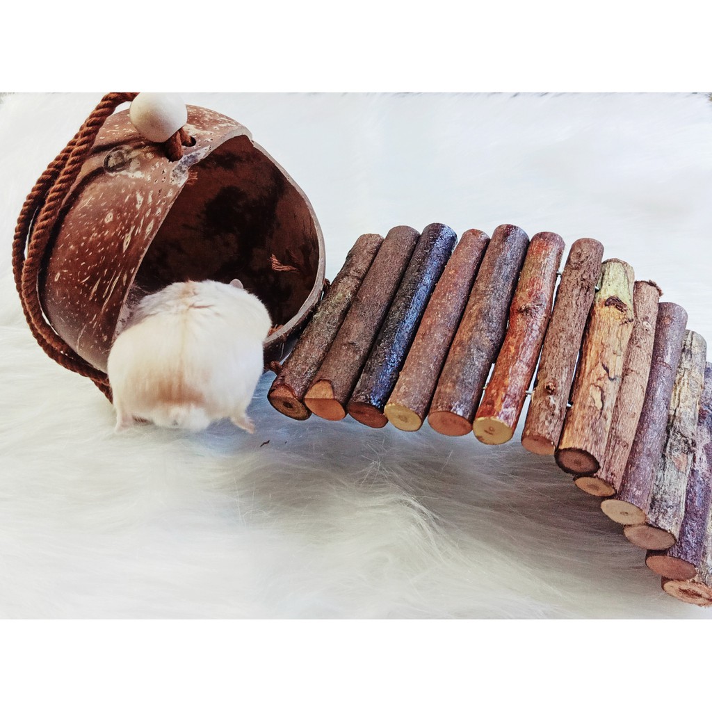 Nhà ngủ gáo dừa 3in1