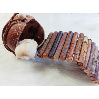 Nhà ngủ gáo dừa 3in1