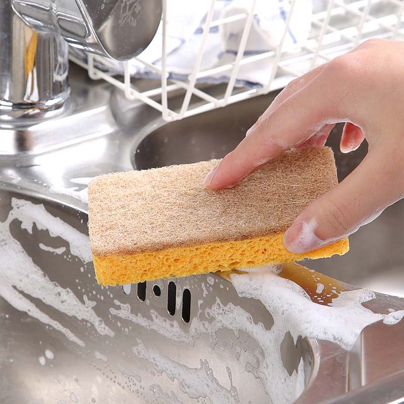 Bọt biển rửa chén bằng gỗ sồi tiện dụng cho nhà bếp