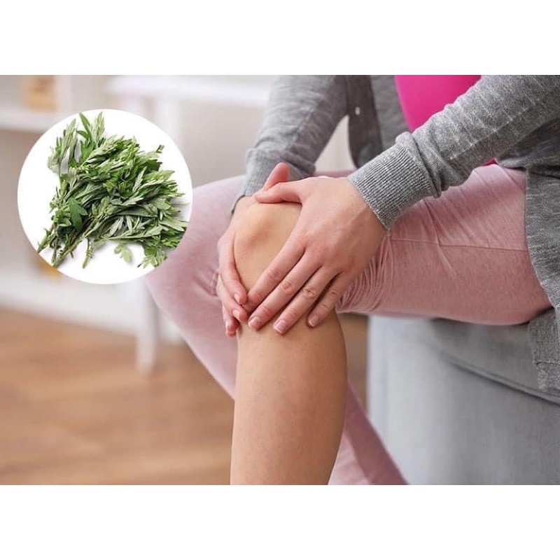 Cây ngải cứu khô 1 kg có sẵn. nhiều