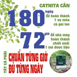 Cao cà gai leo Cathita
